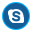 Skype Icon